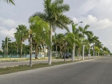 place photo 19