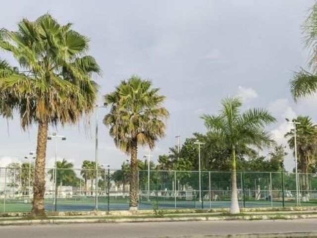place photo 24