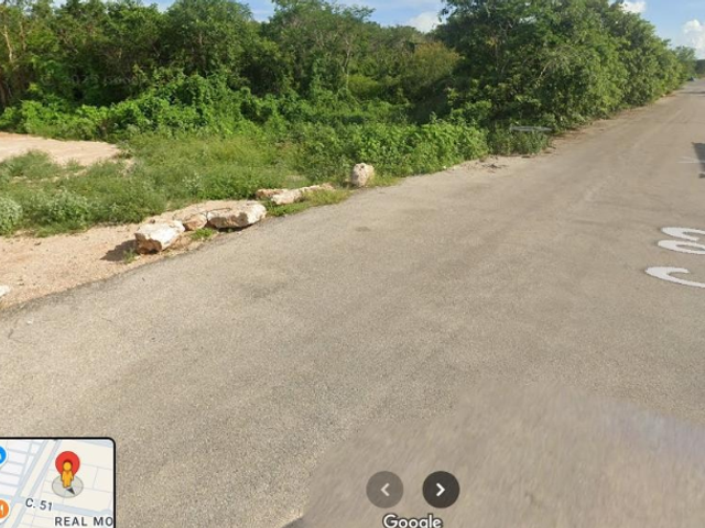 place photo 10