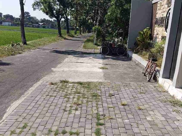 place photo 3