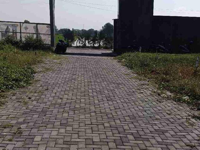 place photo 7