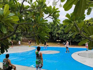 place photo 31