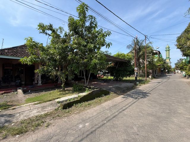 place photo 3