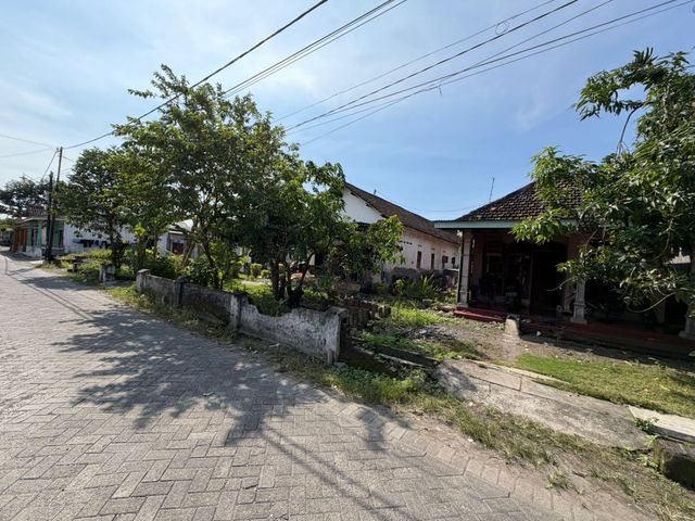 place photo 4