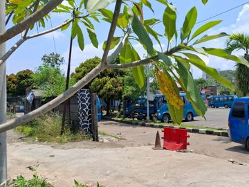 place photo 23