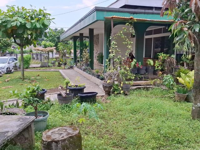 place photo 22