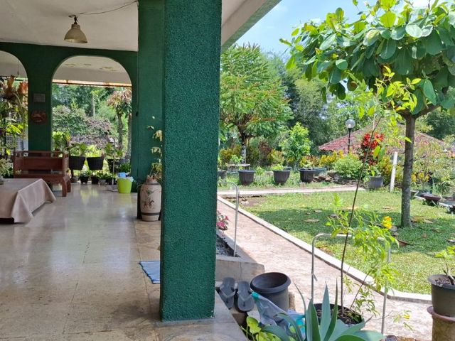 place photo 30