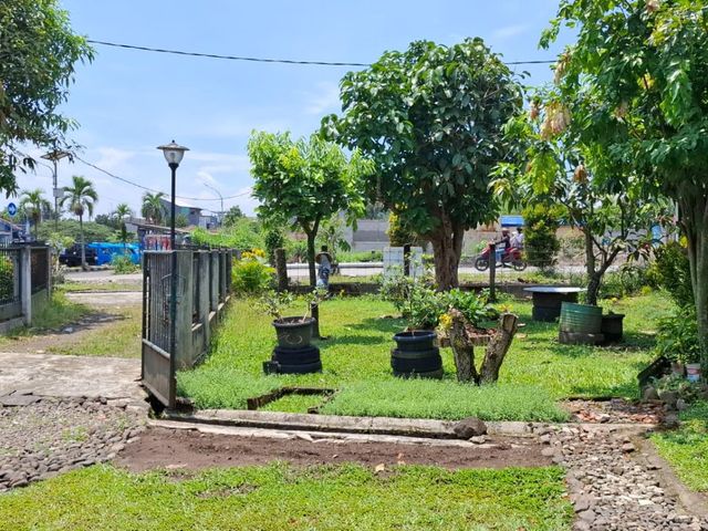 place photo 31