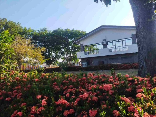 place photo 14