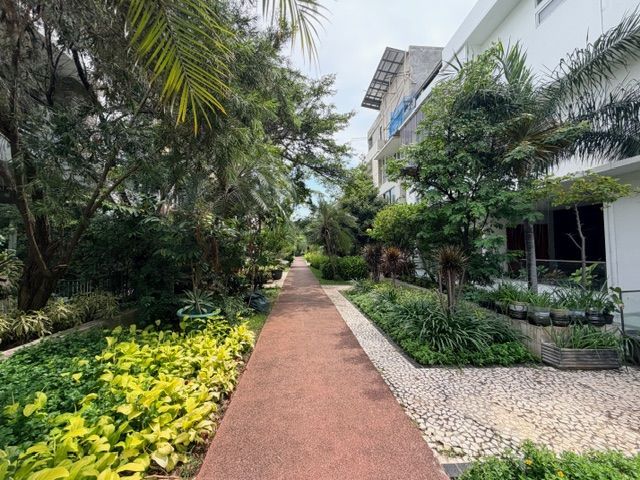 place photo 25