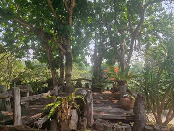 place photo 31