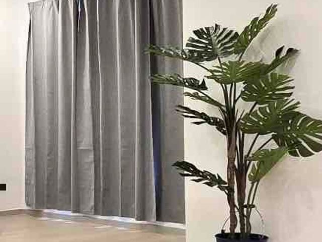 place photo 37
