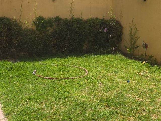 place photo 35