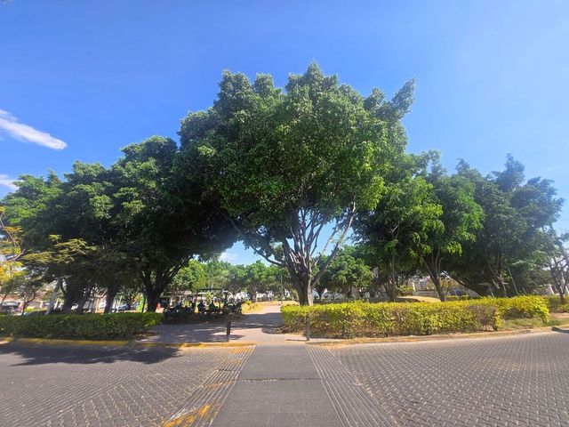 place photo 12