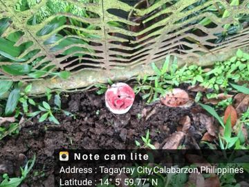 place photo 27