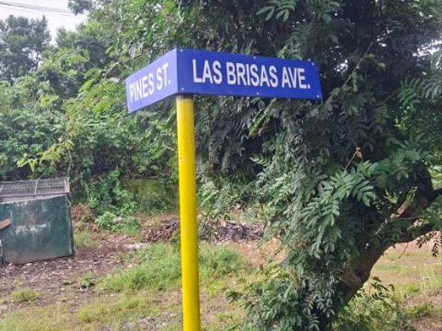 place photo 28