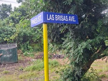 place photo 28