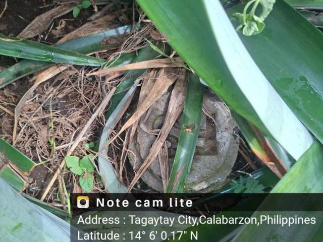 place photo 23