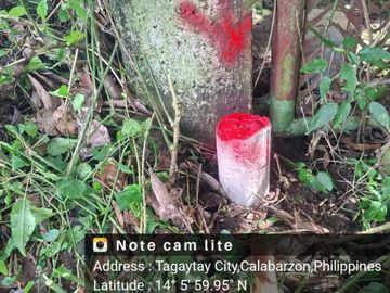 place photo 24