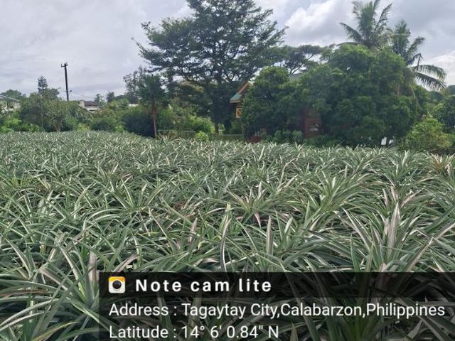 place photo 26
