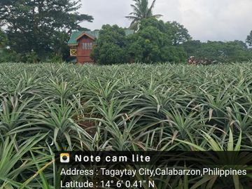 place photo 30