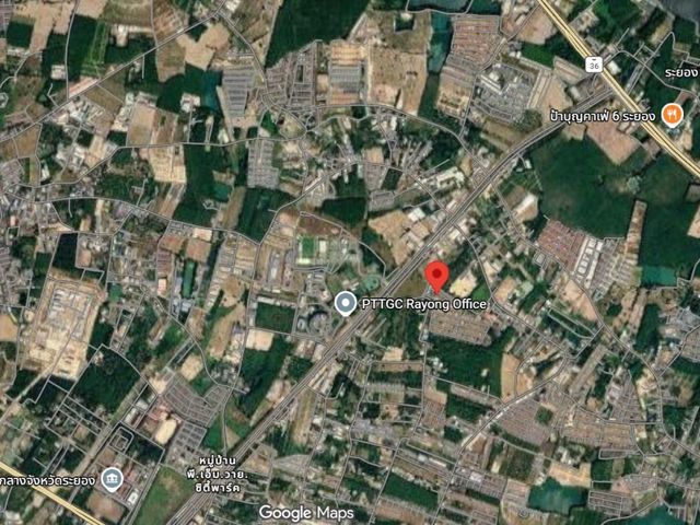 place photo 26