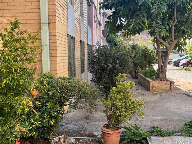 place photo 23