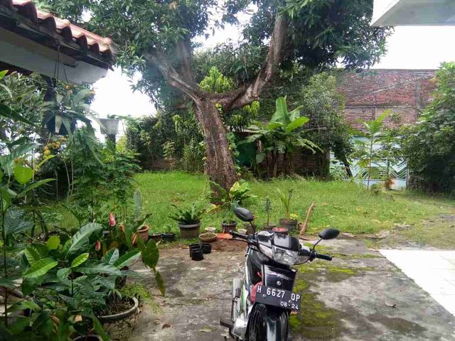 place photo 6