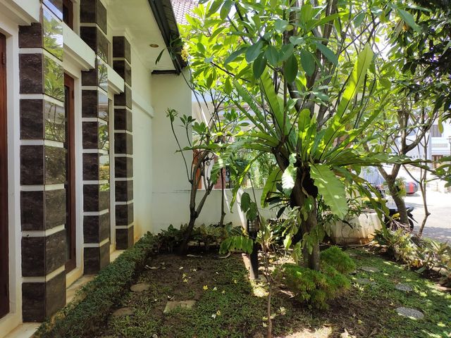 place photo 26