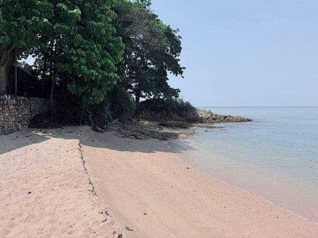 place photo 34