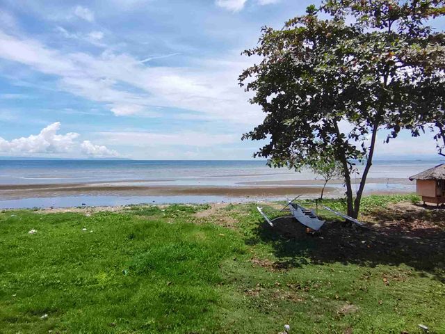 place photo 43