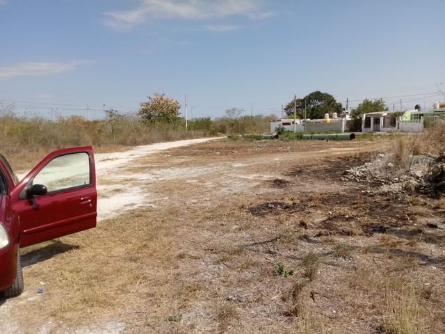 place photo 8