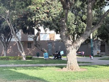 place photo 34