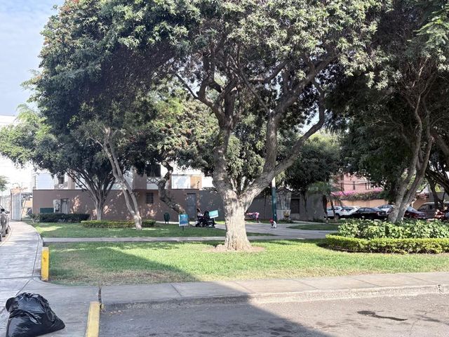 place photo 33