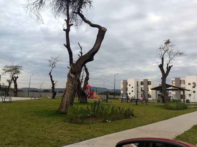 place photo 33