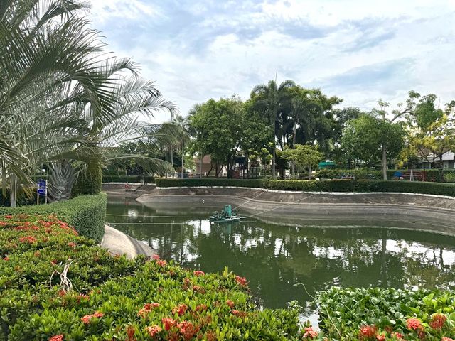 place photo 31