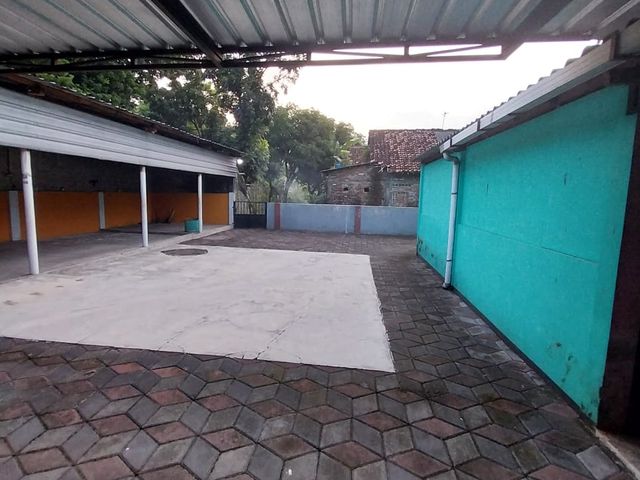 place photo 12