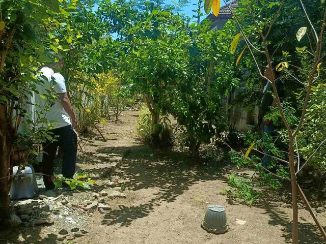 place photo 37