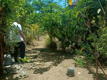 place photo 37