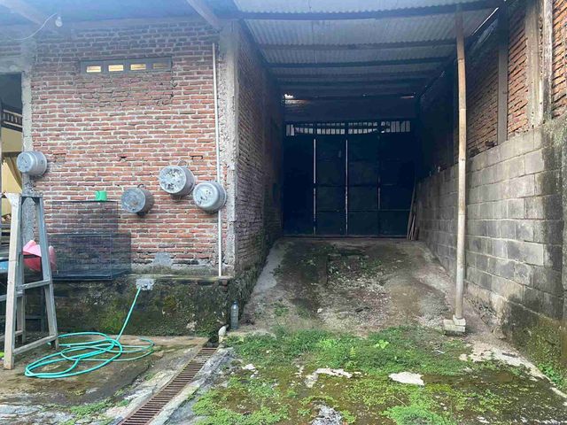 place photo 16