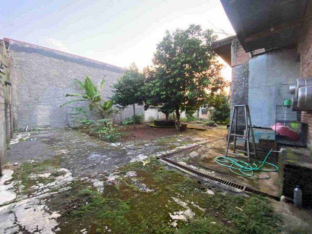 place photo 19