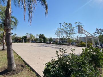 place photo 31