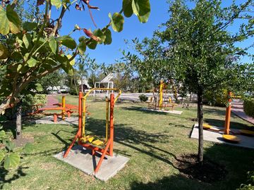 place photo 34