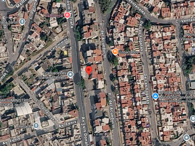 place photo 19