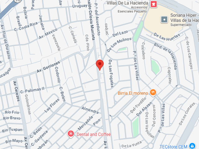 place photo 33