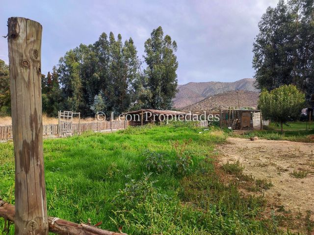 place photo 31