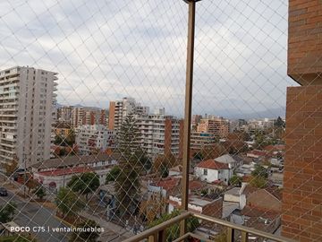 place photo 15