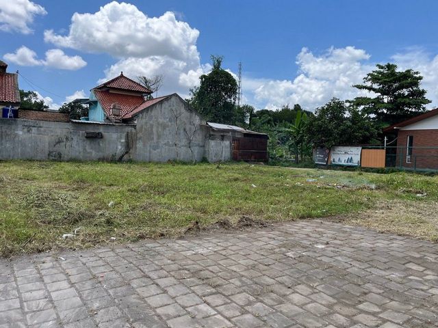 place photo 6