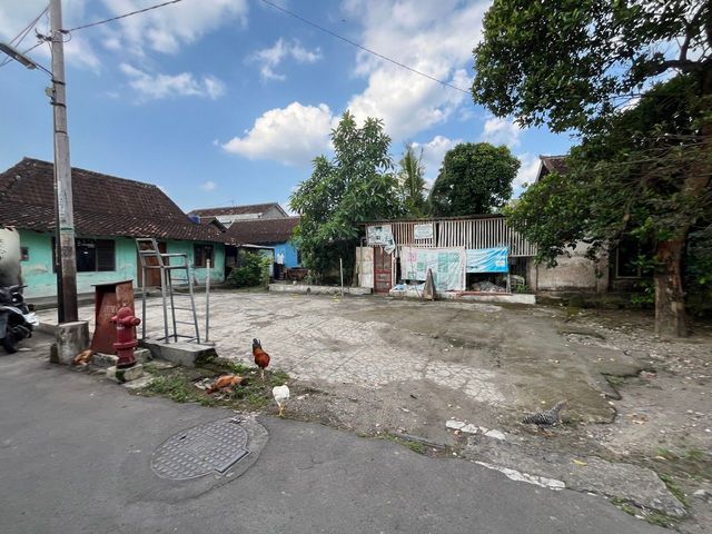 place photo 5