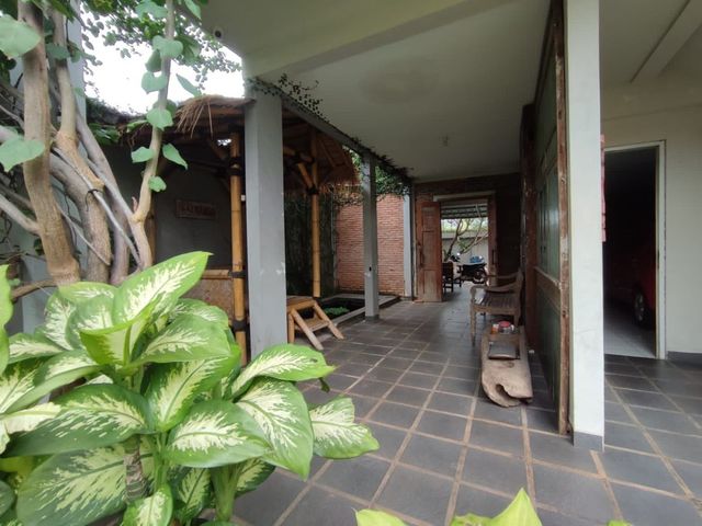 place photo 54